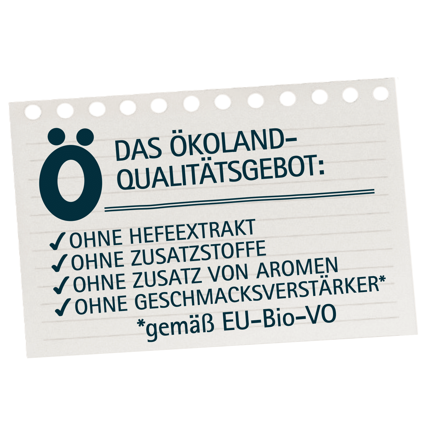 Ramen Shoyu Bio-Rinderbrühe pur als Trinkbrühe oder als schmackhafte Basis für Suppen und andere Gerichte