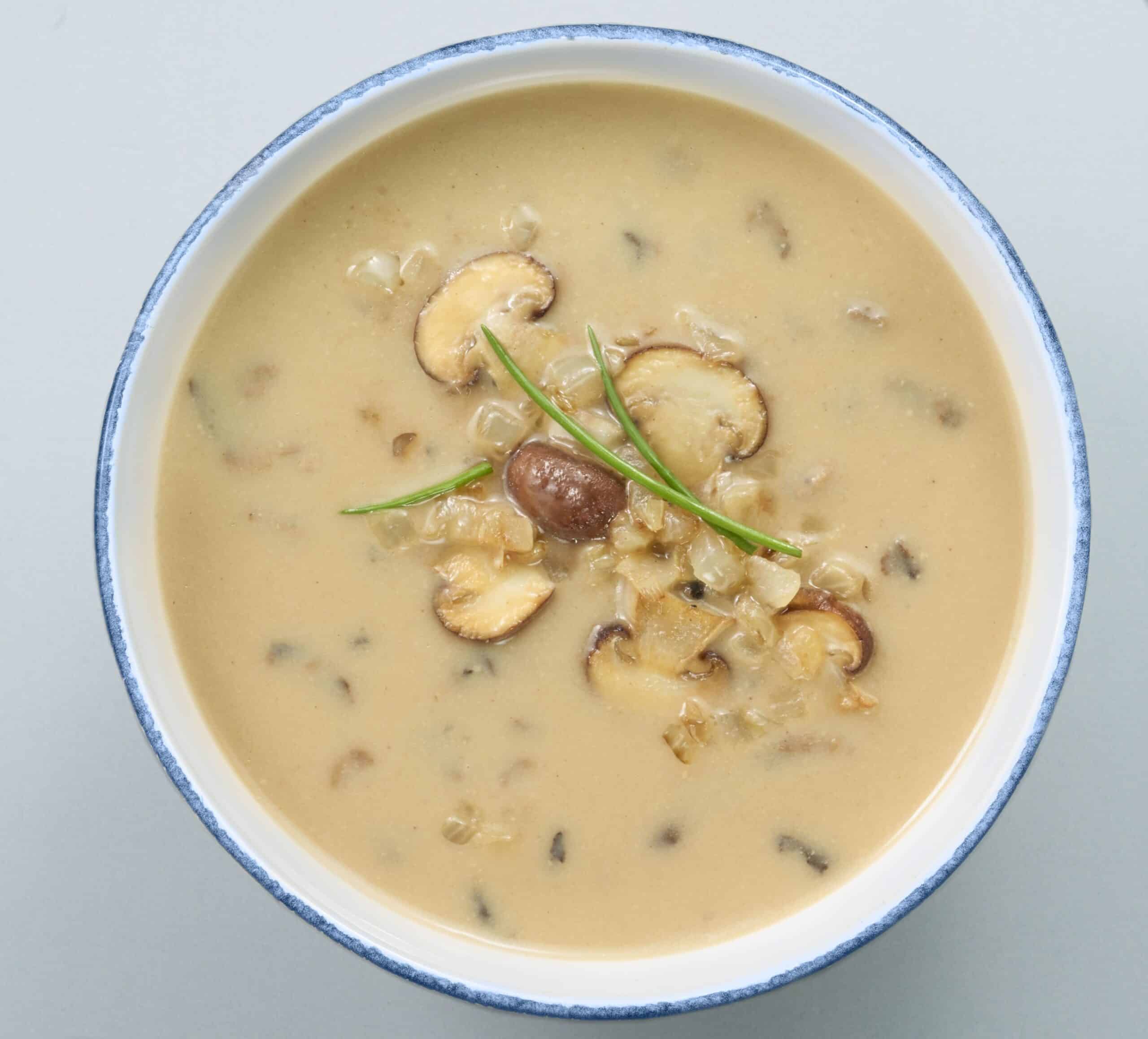 Vegane Bio Champignon Cremesuppe, cremiger Genuss, herzhaft im Geschmack